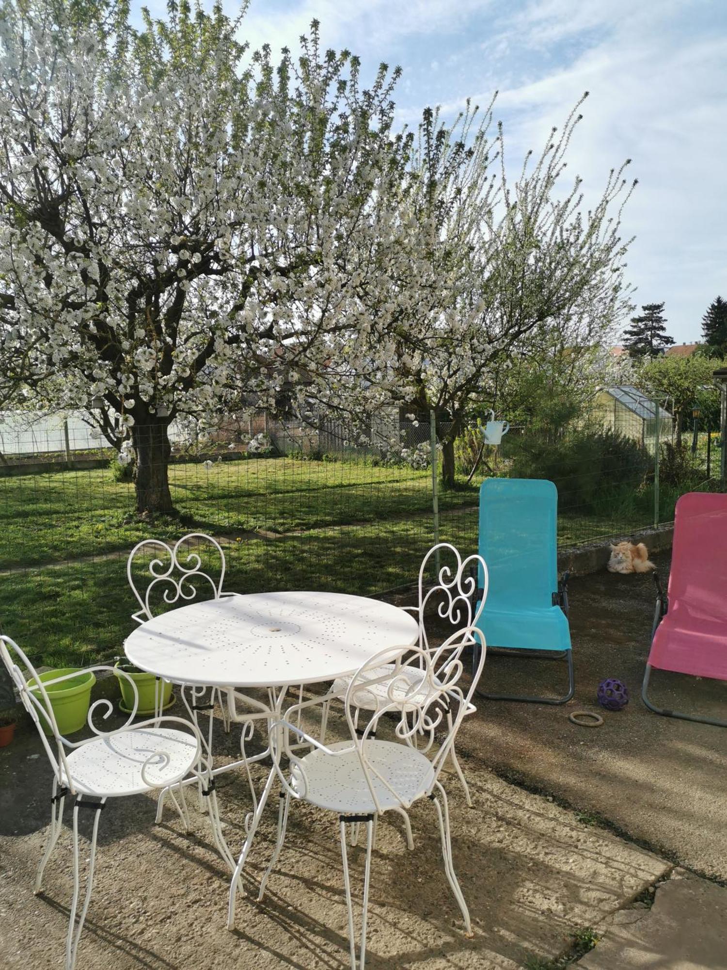 Maison Les 3 Roses Wolfisheim Ngoại thất bức ảnh